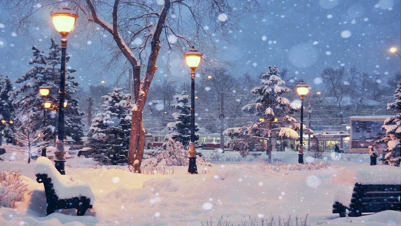 Утро падает снег. Снежная зима в городе. Красивая зима в городе. Красивый снегопад. Красивый снегопад в городе.