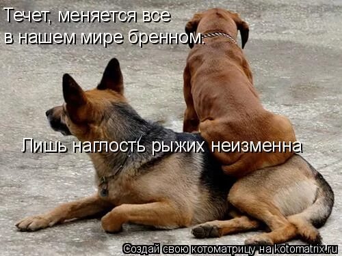 ). Читать все течет все меняется. Гераклит все течет все изменяется. Читать все течет все меняется. Гераклит все течет все изменяется.