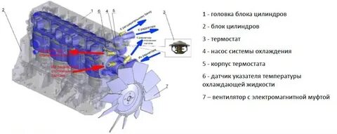 Двигатель 4216 схема охлаждения