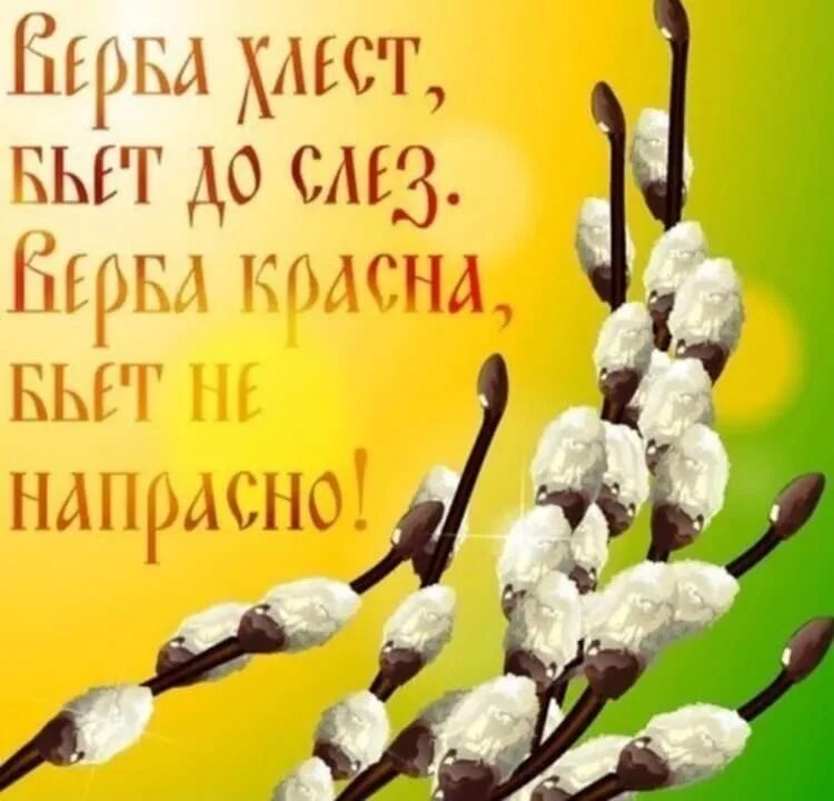 Вербное суть праздника. С Вербным воскресеньем. Верба. С Вербным воскресеньем открытки. Веточка вербы.