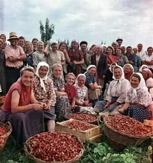Первый урожай в этом году