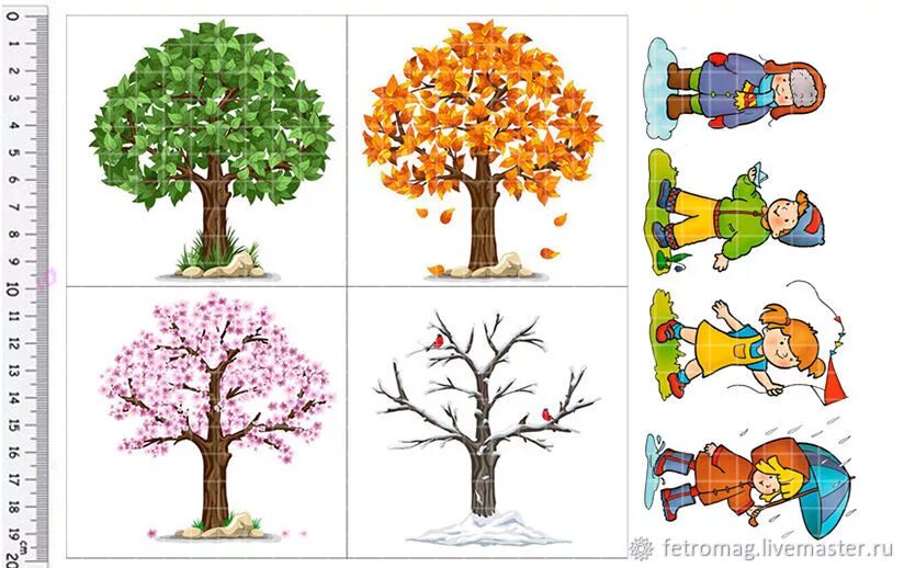 Пора года 4 букв. Времена года на дереве. Изображения времен года для детей. Дерево по временам года в детском саду. Дерево времена года рисунок.