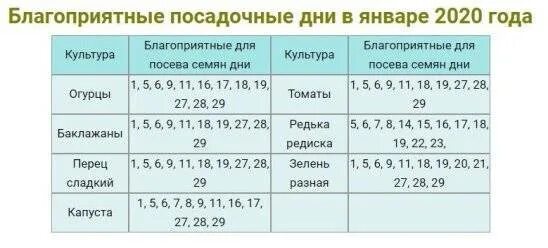 Дни посадки сладкого перца в феврале. Благоприятные дни для посадки семян перца. Благоприятные дни для посадки перца на рассаду. Благоприятные дни для посадки перцев. Благоприятные дни для посева семян перца.