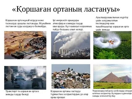 Порно актриса Сесилия өмірбаяны