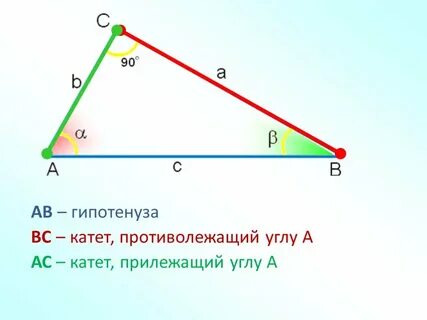 Какой угол прилежащий