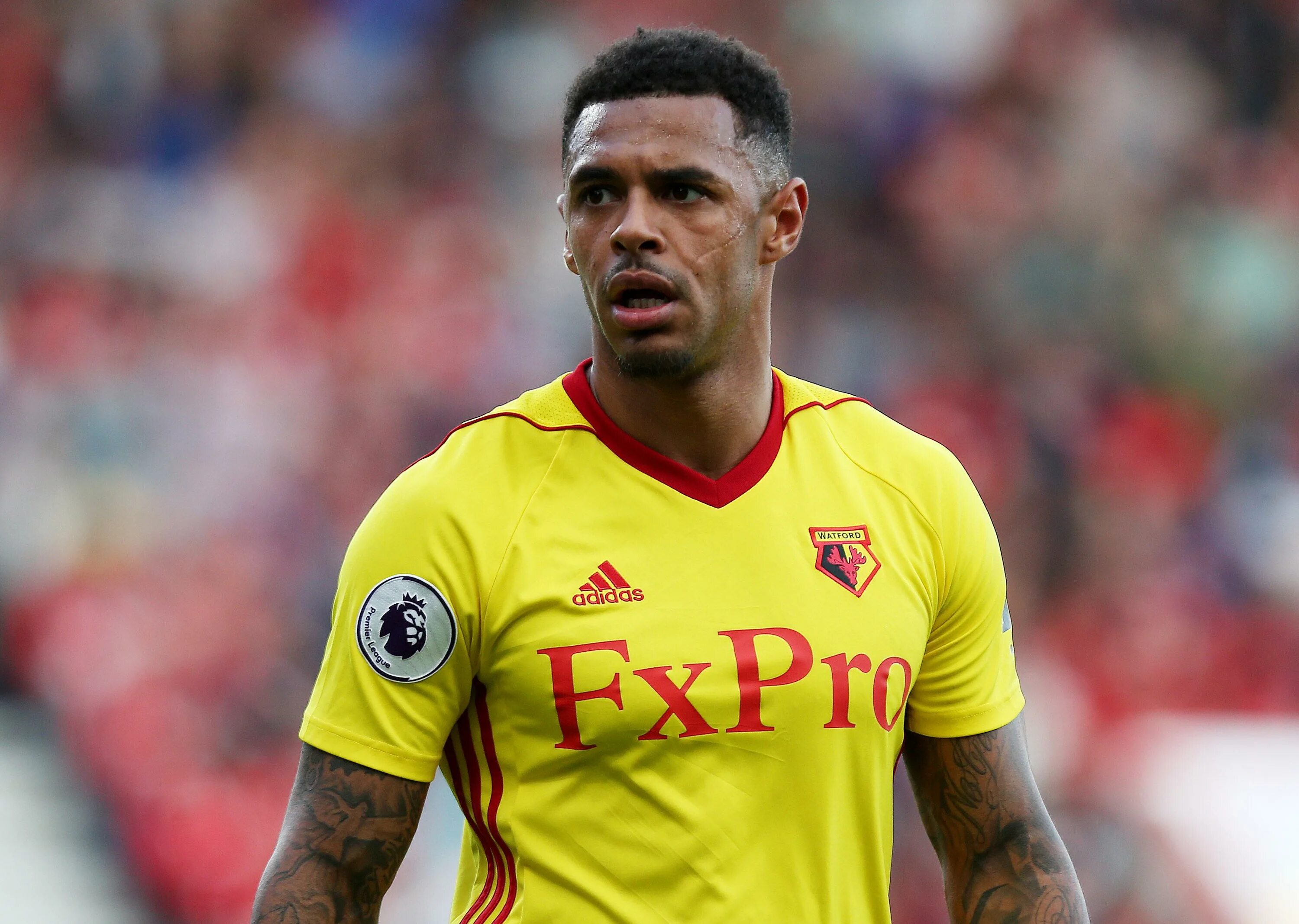 Андре 6. Andre Gray. Андре Уотфорд. Андре Gray футболист. Andre Gray and Chamberlain.