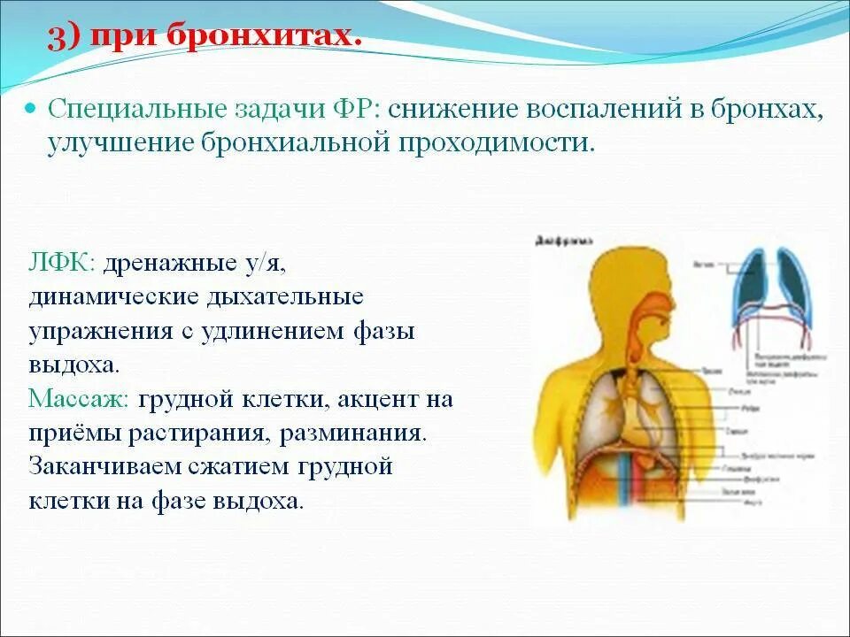 На выдохе кашель с мокротой. Глубина дыхания при хроническом бронхите. Тип дыхания при бронхите. Дыхание при бронхите у детей. Бронхит дыхательная гимнастика.