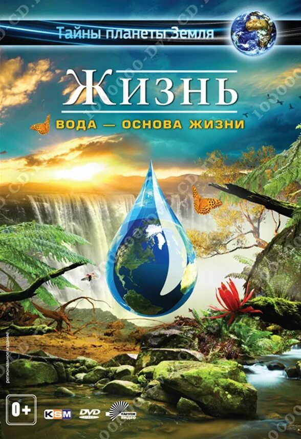 Воды жизни купить. Вода основа жизни. Вода это жизнь. Вода основа жизни на земле.