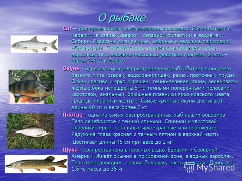 Многообразие живых организмов. Виртуальная экскурсия по Республике Коми - презен