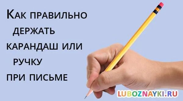 Как правильно держать карандаш. Как правильно держать ручку. Картинка как правильно держать ручку. Правильно держи карандаш.