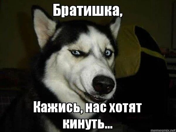 Нет нет мы хотим сегодня