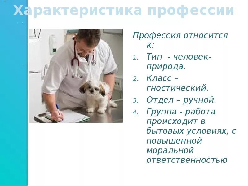 Один день в профессии пожарный ветеринар повар. Проект профессия ветеринар 2 класс окружающий мир. Презентация на тему ветеринар. Профессия ветеринар план. Рассказать о профессии ветеринар.