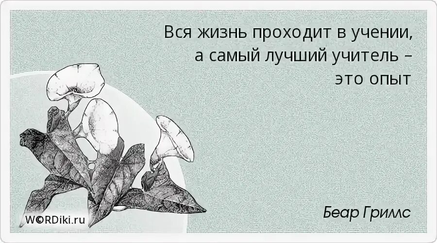 Жизнь прошла тест