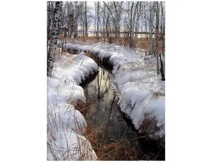 Как правильно ручьи