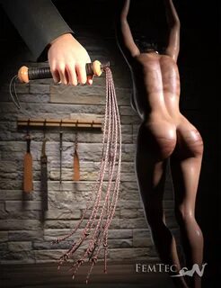 Erotic Whipping Stories.