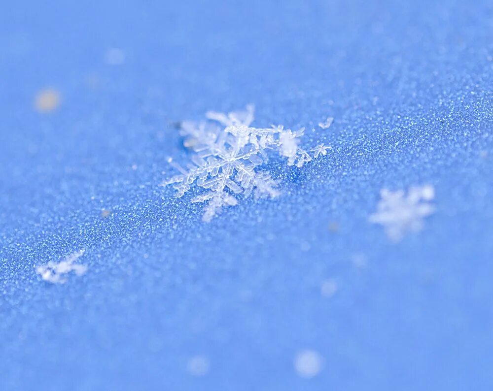 снежинка вектор. зима снежинки. красивые снежинки. снег снежинки. снежинки.