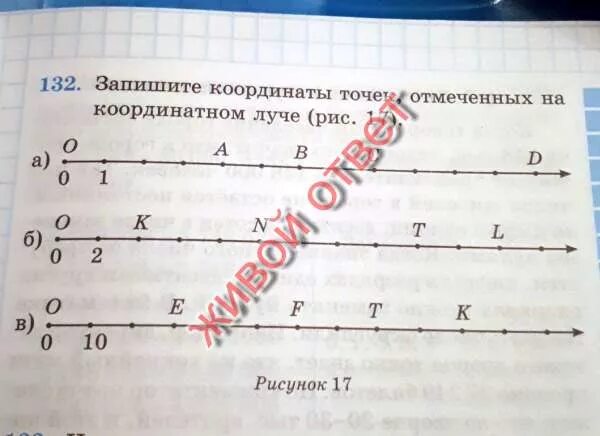 Найти координаты точек на луче. Координатный Луч с точками. Координаты точек на Луче. Запиши координаты точек на координатном Луче. Запиши координаты точек расположенных на координатном Луче.