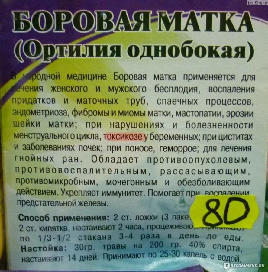 Чистотел в гинекологии. Боровая матка лекарство. Трава Боровая матка показания. Лекарство от миомы травами. Трава баровая матка показания.