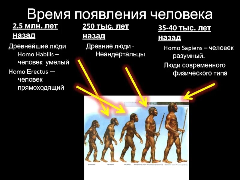 3 изменения человека. Появление человека современного вида. Человек разумный homo sapiens человек современного типа. Становление человека разумного. Период возникновения человека разумного.