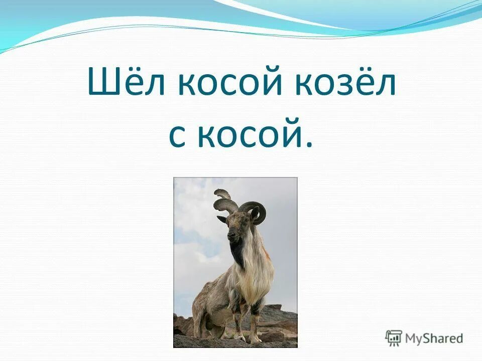 Коса скороговорка. Идет козел с косой. Идет козёл с косой козой. Шел козел с косой с косой. Идёт козёл с косой косой скороговорка.