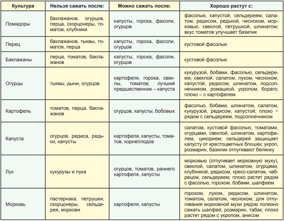 В какое место сажать. После каких культур можно сажать. после чего нельзя сажать томаты. после чего сажать чеснок. что после чего можно садить.