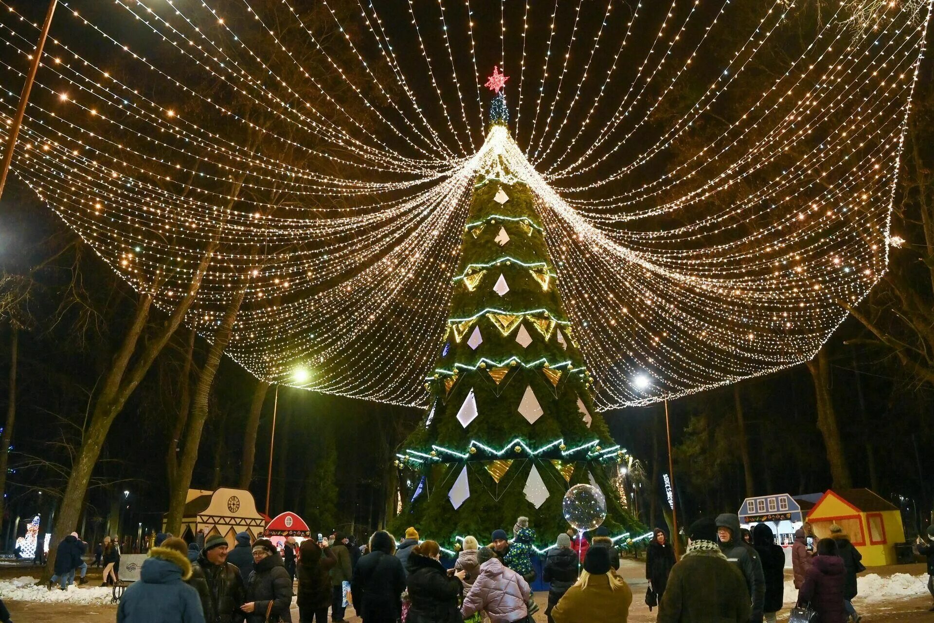 Новый год 2021 россия. Калуга Новогодняя столица. Калуга новый год 2021. Новогодняя елка в парке. Новогодние ели.