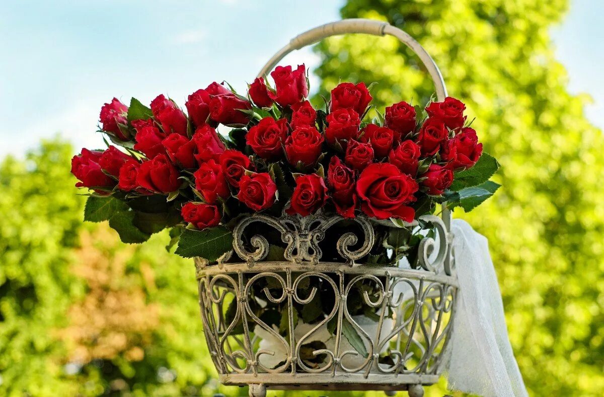 Вторая жизнь розам. Красивый букет. Шикарные цветы. Букет роз. Роскошный букет.