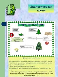 Проекты экологической тропы