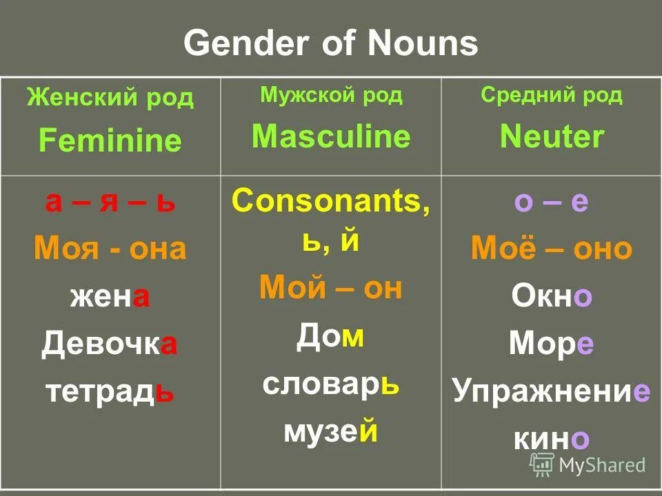 Женский род запомню я и скажу она моя. Твой женский род. Кольраби какой род. Твой женский род. Стих женский род запомню я.