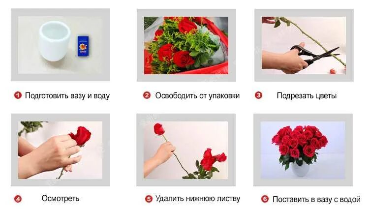 Как долго хранить розу. Сохранение срезанных роз в букете. сохранение срезанных цветов.. как дольше сохранить розы. как сохранить розы в вазе дольше.