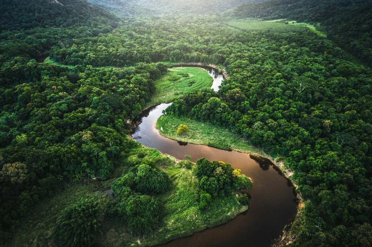 Амазонская Сельва Бразилии. Бразилия тропические леса Сельва. Тропические леса амазонки, Южная Америка. Тропические дождевые леса Амазонии.