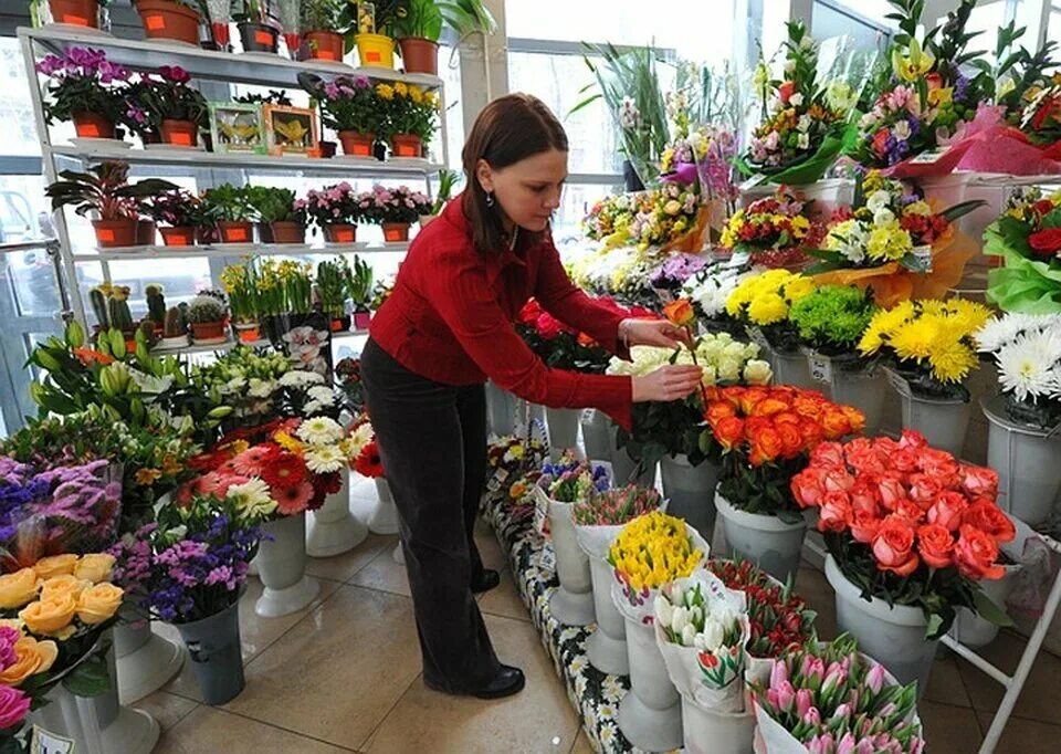 Цветы магазинные. Торговля цветами. Цветы в горшках в цветочных магазинах. Оптовый магазин цветов. Какими цветами торгуют