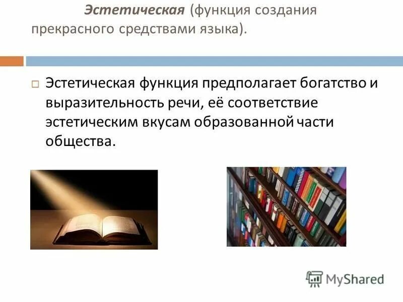 Роль языка в произведениях. Эстетическая функция литературы. Эстетическая функция языка. Эстетическая функция русского языка. Эстетическая функция языка примеры.