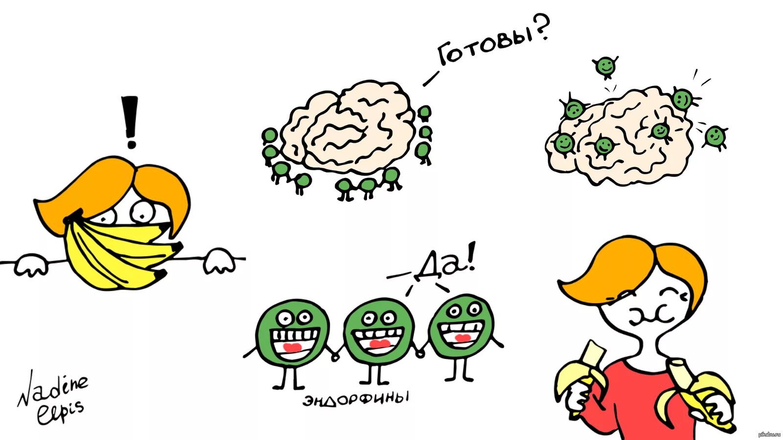 Мозг вырабатывает эндорфины. Эндорфины. Эндорфины гормоны счастья. Эндорфины картинки. Шутки про гормоны.