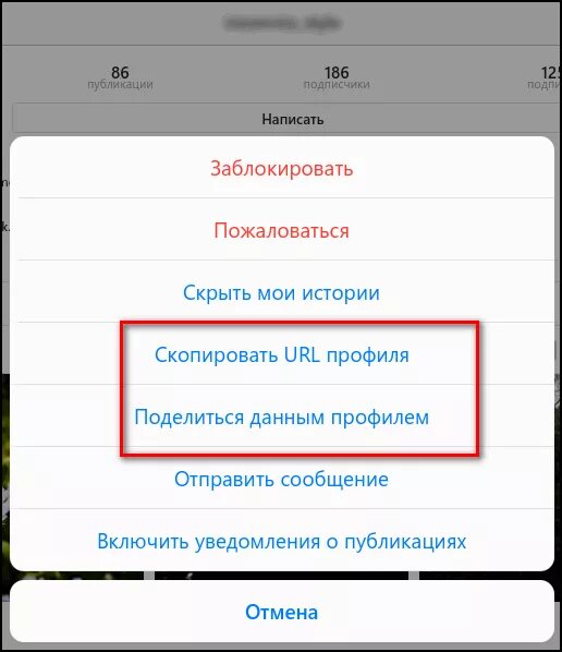 Url на телефоне. Что такое URL В инстаграме. URL ссылка на Инстаграм. URL профиля Инстаграм что это. Ссылка в Инстаграм на свою страницу.