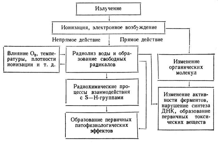 Схема патогенеза лучевой болезни. Схема патогенеза лучевой болезни патофизиология. Лучевая болезнь этиология и патогенез. Патогенез лучевой болезни патофизиология. Патогенез лучевой болезни патофизиология.