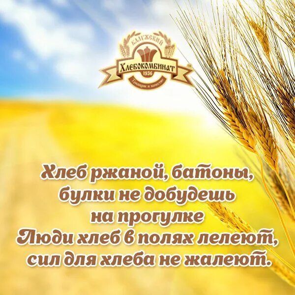 Хлебозавод режим работы. Калужский хлебокомбинат. Калужский хлебокомбинат Калуга. Калужский хлебокомбинат логотип.