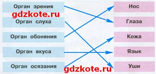 Прочитайте соедините линией слова синонимы. Соедини линиями слова в левом. Соедини линиями в левом и правом столбиках. Соедините линиями слова в левом и правом столбике. Соедини линиями слова с левым и правым в столбиках.