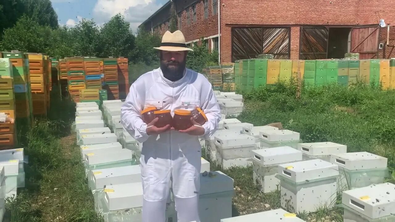 Новости пчеловодства. Новости пчеловодства. Новости пчеловодства. Гнездо пчел на зиму. Соцконтракт на пчеловодство.