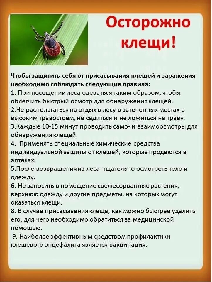 Осторожно клещи картинки. Осторожно клещи памятка для родителей в детском саду. Памятка осторожно клещи памятка для родителей. Клещевой энцефалит памятка для родителей в детском саду. Берегись клещей памятка для детей.