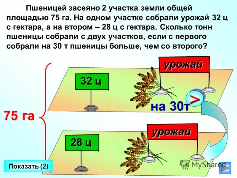 В первый день засеяли. Сколько пшеницы собирают с гектара. Сколько тонн пшеницы с гектара. Сколько тонн зерна получают с гектара. Сколько можно собрать пшеницы с 1 гектара.