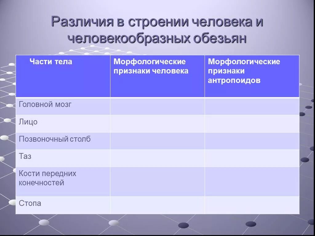 Различия в строение человека и человек образ ну обезьян. Различия в строении человека и человекообразных обезьян. Сходство человека и человекообразных обезьян таблица. Отличие человека от человекообразных обезьян таблица.