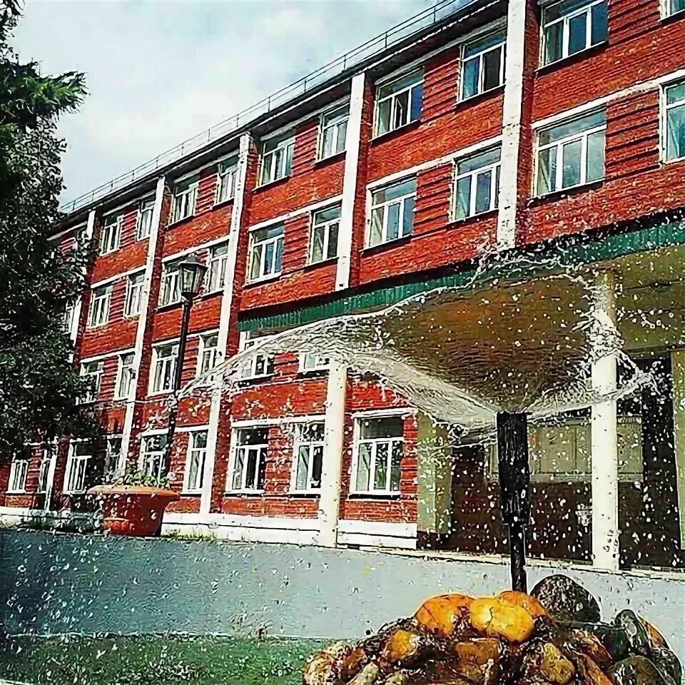 тулунский аграрный техникум здание. филиал гбпоу братский педагогический колледж. тулунский пед колледж. тулунский техникум. тулунский аграрный техникум логотип.