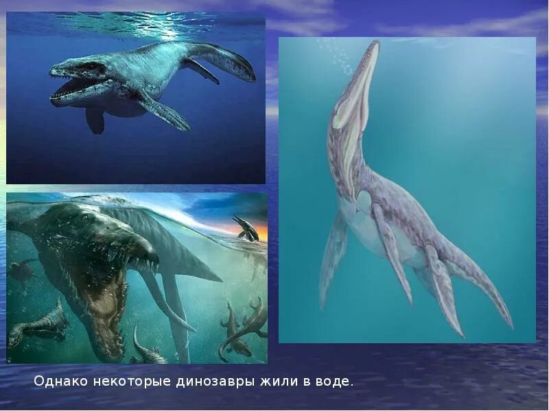 Динозавр жил в воде. Водные динозавры. водоплавающие динозавры названия. динозавры которые жили в воде названия. динозавры которые обитали в воде.