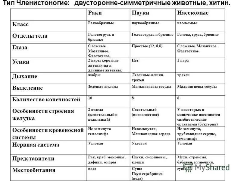 Характеристика типов классов животных. Таблица особенности строения классов членистоногих. Характеристика членистоногих 7 класс биология таблица. Сравнение классов членистоногих таблица 7 класс биология. Сравнительная характеристика класса типа членистоногих таблица.