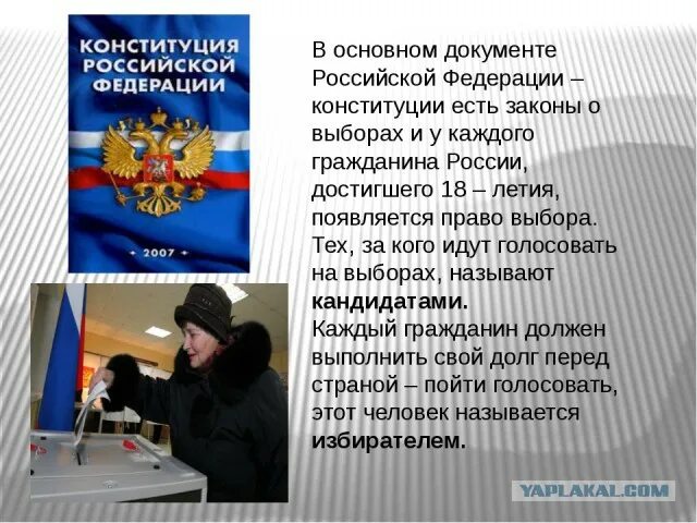 Обязан гражданин рф голосовать на выборах президента. Законодательство о выборах. Выборы в Российской Федерации. Конституция о выборах. Статьи про выборы.