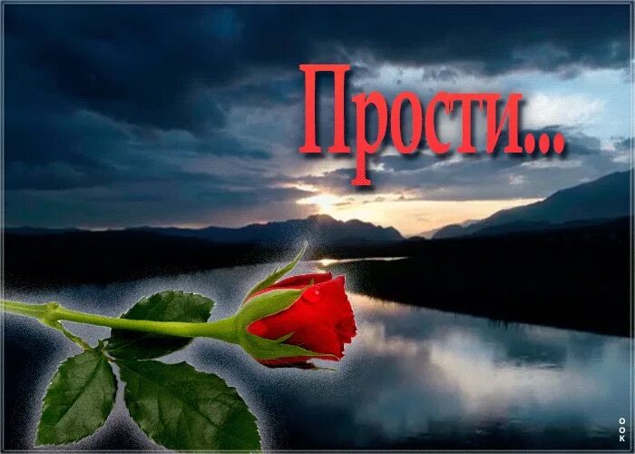 Любимая прости благодарю. Открытка &quot;прости&quot;. красивые открытки прости меня. красивая открытка прости. гифка извини меня пожалуйста.