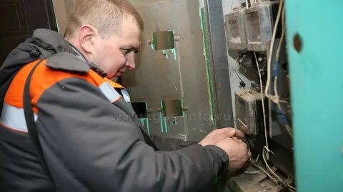Недолжник реутов