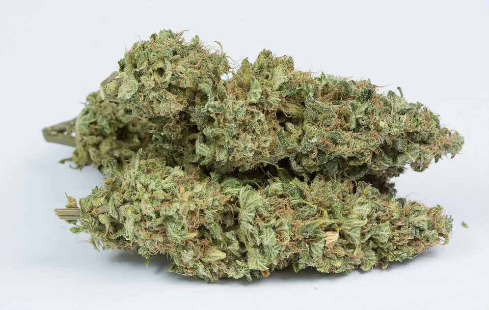 Канабис og Kush. Шишки og Kush 2гр. Og Kush сорт. Конопля сорта og Kush.