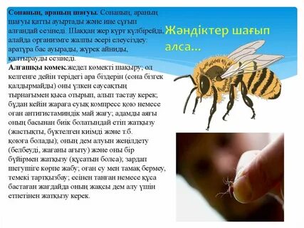 Кировоградта жыныстық қатынасқа арналған достық